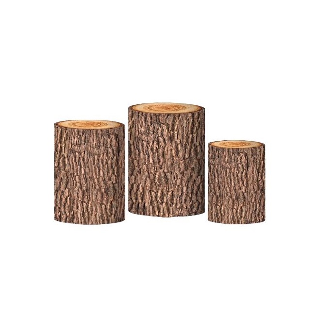 WhatsApp Image 2024-08-12 at 11.24.58